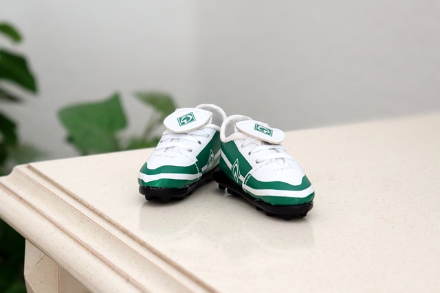 迈出了重要 迈出了重要